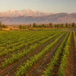 Matériel d&rsquo;irrigation agricole au Maroc : guide d&rsquo;achat complet