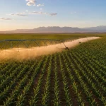 Pivot d&rsquo;irrigation pour grandes cultures au Maroc : fonctionnement et avantages
