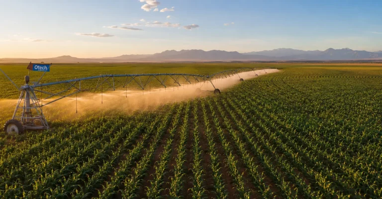 Pivot d&rsquo;irrigation pour grandes cultures au Maroc : fonctionnement et avantages