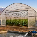 Serre agricole au Maroc : installation, irrigation et coût d&rsquo;un projet clé en main